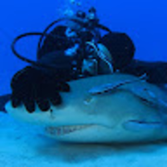 Meet your Posher, Jim - Picture 1 of 1